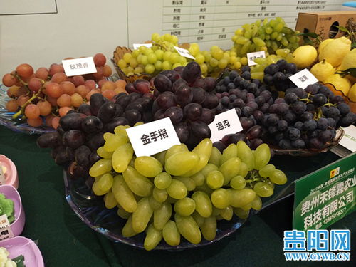 2019中國貴陽國際特色農產品交易會盛大開幕，農產品貿易迎來新機遇
